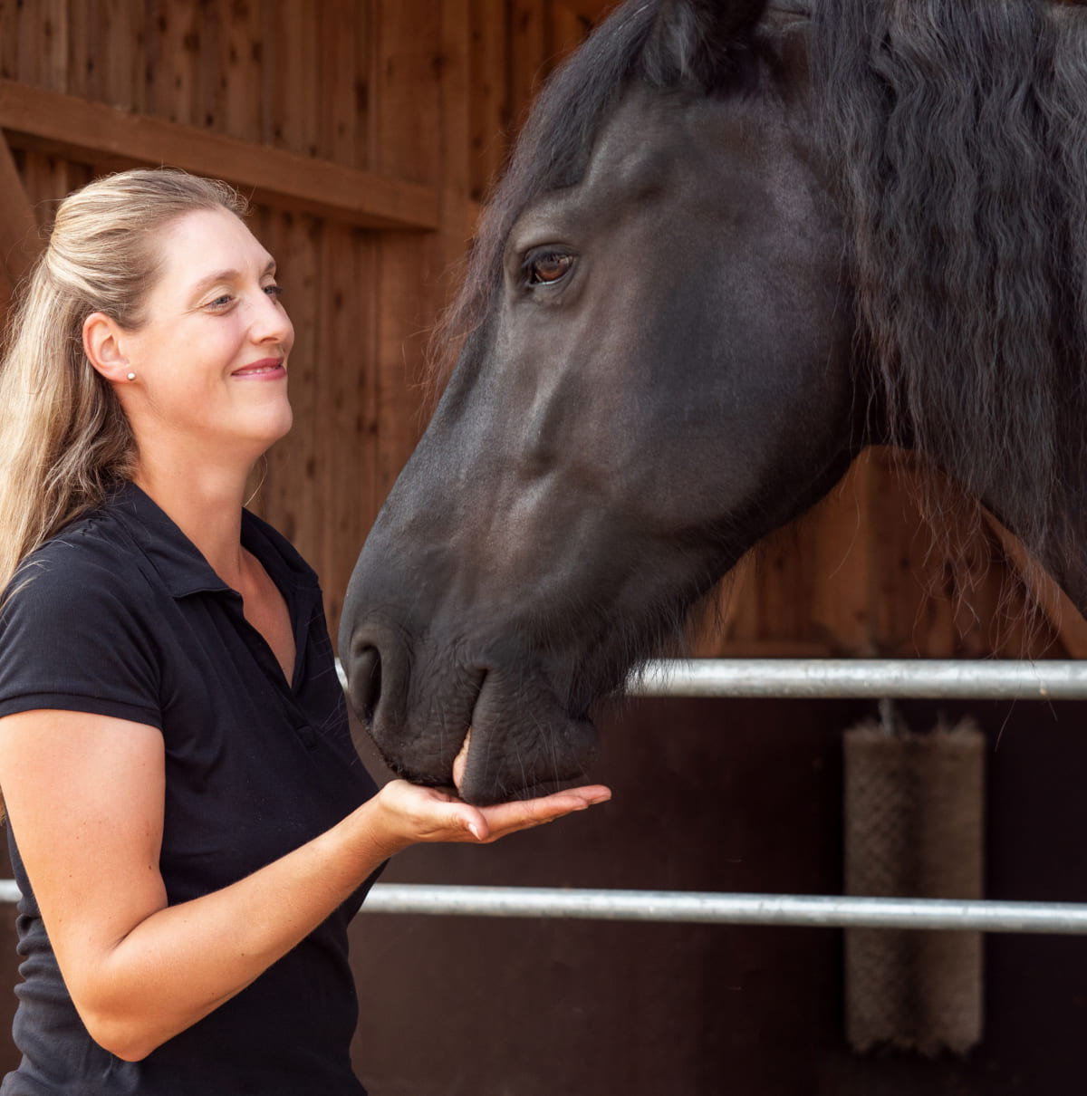 Anikas Pferdeakademie