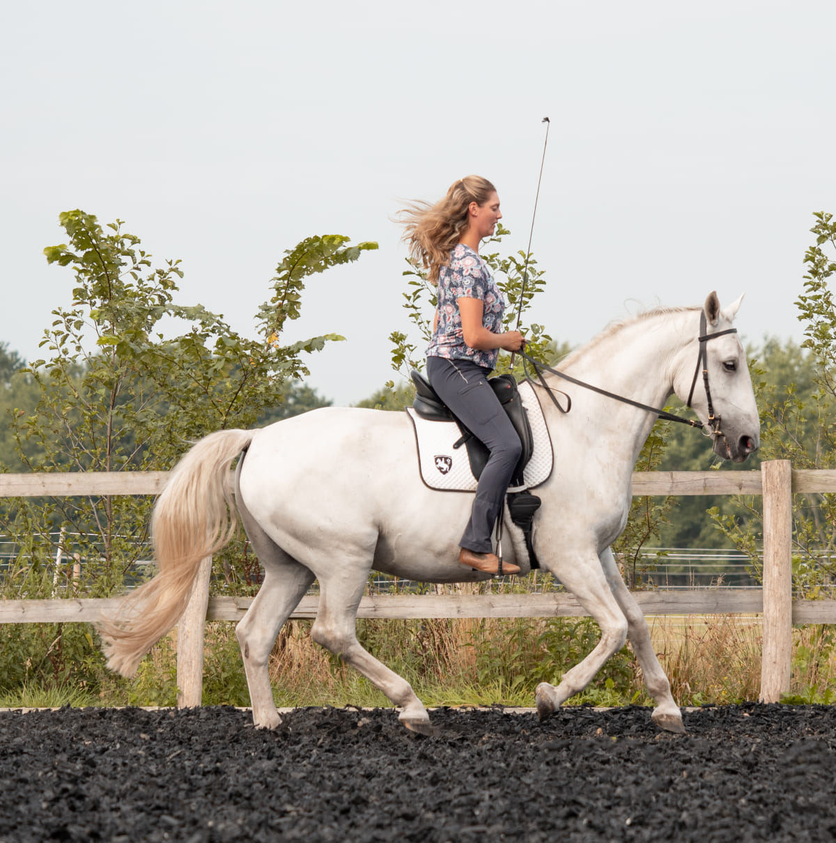 Anikas Pferdeakademie